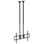 Aisens CT120TLE-395 Soporte de Techo para TV/Monitor 60-120 pulgadas, 120kg